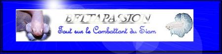 <center>Bettapassion</center>